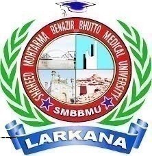 SMBBMU Date Sheet 2026 or DPT Exams Released SMBBMU Date Sheet 2026 or DPT Exams Released