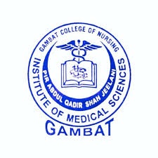 Gambat College of Nursing Admissions 2025 BSN