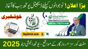 Register for Pakistan Digital Youth Hub for Online Opportunities