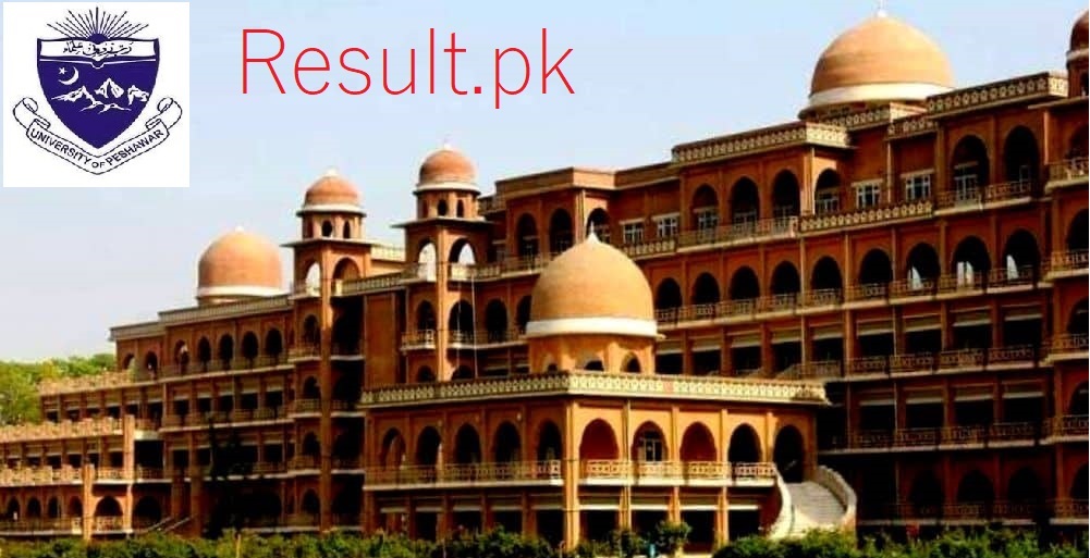 UoP MA MSc Annual Exams 2025 Result