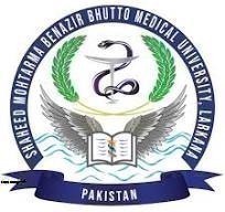 SMBBMU Entry Test Result 2026 Announced for BSN & Medical Technology