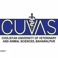 CUVAS Announces MPhil & PhD Entry Test Results Batch 1 – Spring 2026