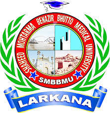 MBBS and BDS Admissions at SMBB Medical University 2026