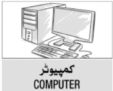 Skill Development with INFRA Computer Courses 2026