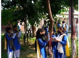 Punjab Green School Program 2026 Launches in 26000 Schools  