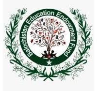 BEEF Fully Funded Matric Scholarships Announced 2026 BEEF Fully Funded Matric Scholarships Announced 2026