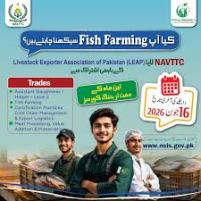 Pakistan Launches Free NAVTTC Training Scheme 2026
