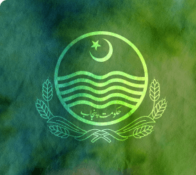 Pakistan’s First MS Stroke Intervention Degree Programme Pakistan’s First MS Stroke Intervention Degree Programme