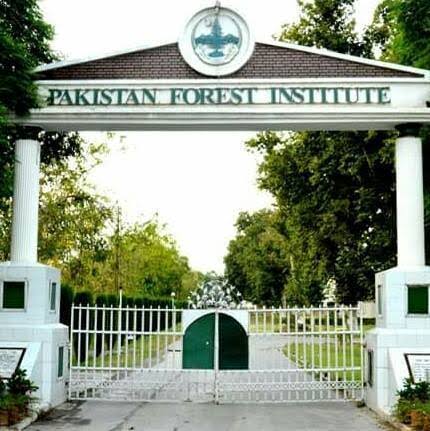 PFI BS Forestry Admission 2026 Announced PFI BS Forestry Admission 2026 Announced