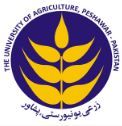 UAP Undergraduate Admissions Open for Fall 2026 Intake