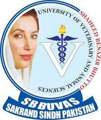 SBBUVAS Larkano 5 Years DVM Admissions 2027 SBBUVAS Larkano 5 Years DVM Admissions 2027