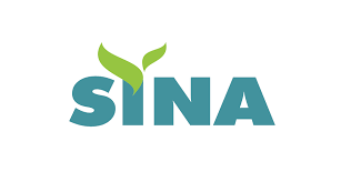 Sina Institute of Network and Aesthetics