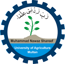 MUHAMMAD NAWAZ SHARIF UNIVERSITY OF AGRICULTURE