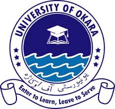 University of Okara