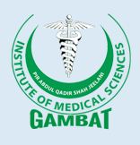 Gambat Medical College